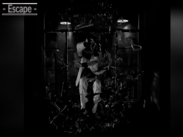 Michael Jackson 2009 in THIS IS IT, Smooth Criminal Segment. In diesem schwarz/weißen Bild durchbricht Jackson die Falle in Gestalt eines vergitterten Fensters. Durch einen Sprung entkommt er seinen Verfolgern. Michael Jackson escape in 2009 in THIS IS IT, Smooth Criminal segment. In this black and white image, Jackson breaks through the trap in form of a barred window. He escapes from his pursuers by making a jump